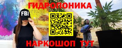ALPHA PVP Моздок