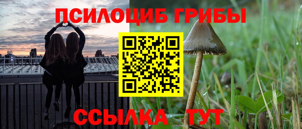 Галлюциногенные грибы мухоморы Тавда