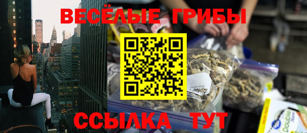 Тавда  где продают   Вход с VPN  Галлюциногенные грибы Psilocybe 
