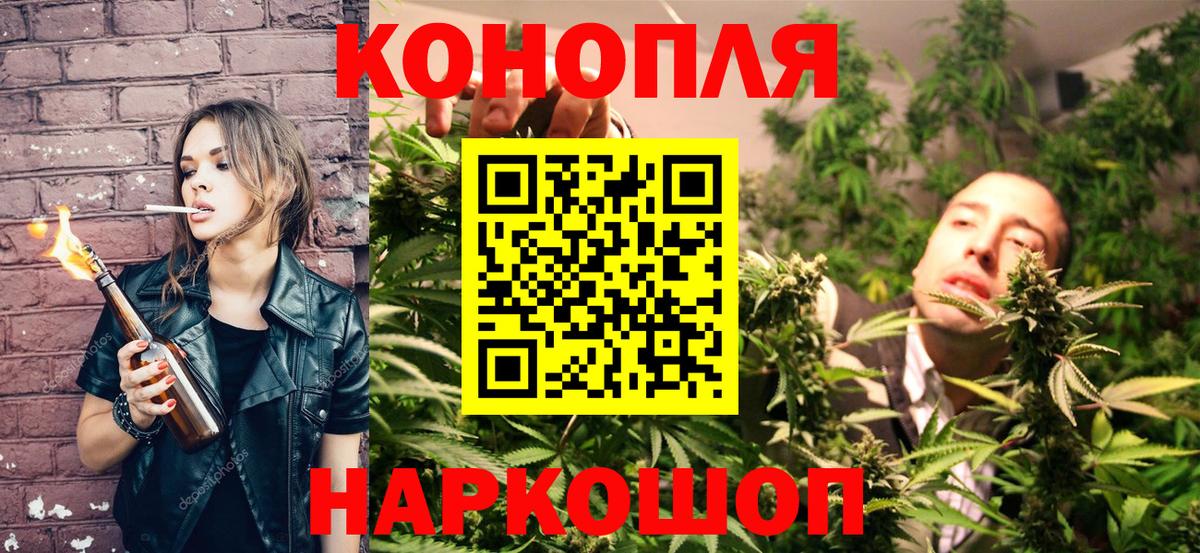 Бошки марихуана сатива  Вход с VPN  Тавда  Бошки Шишки марихуана  Конопля гибрид 